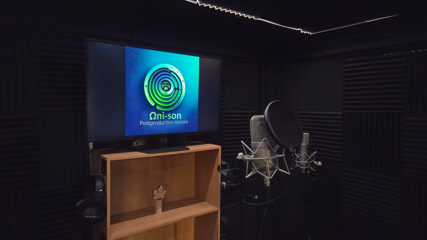 Un microphone et son filtre anti-pop dans la cabine feutrée du studio Ωni-son